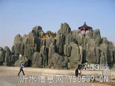 專業(yè)室內(nèi)裝修