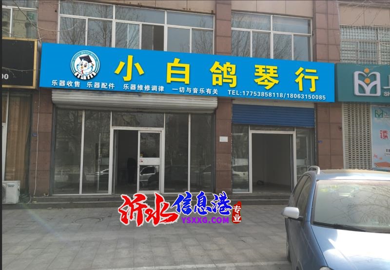小白鴿琴行開業(yè)了
