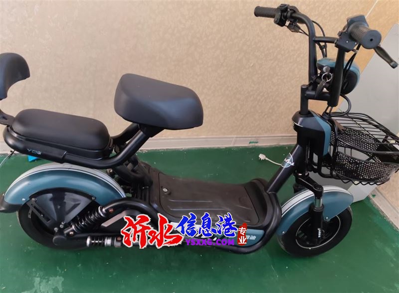 處理自用電動(dòng)車